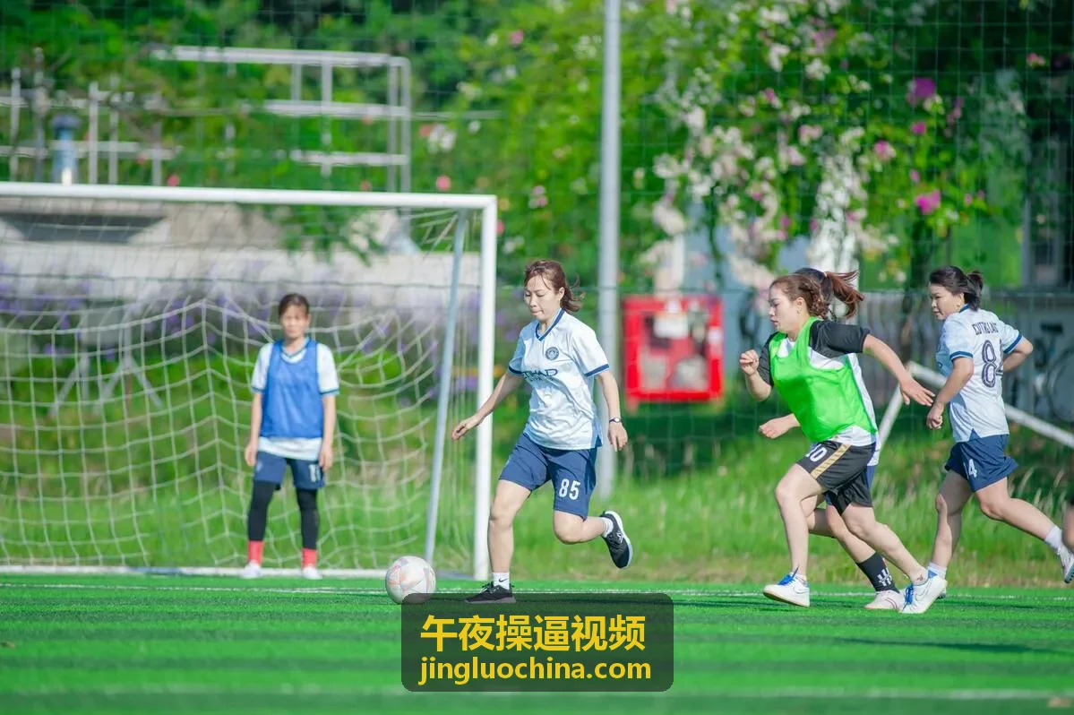 午夜操逼视频高清专区的清晰浏览提示