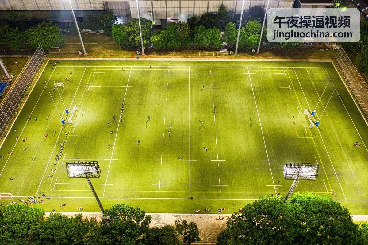 午夜操逼视频高清专区体验
